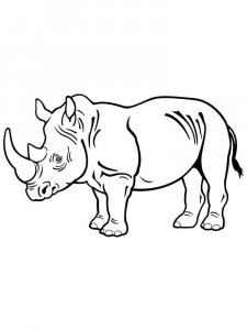 African Animals coloring page - picture 3
