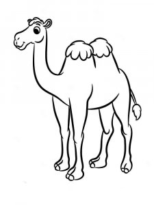 African Animals coloring page - picture 38