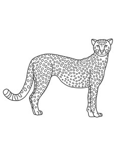 African Animals coloring page - picture 39