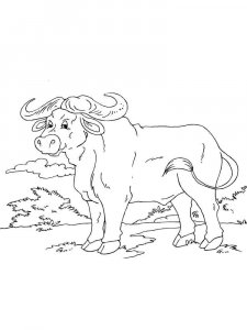 African Animals coloring page - picture 6