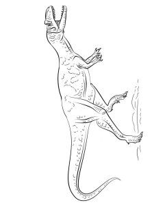 Allosaurus coloring page - picture 4