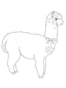 Alpaca coloring page - picture 3