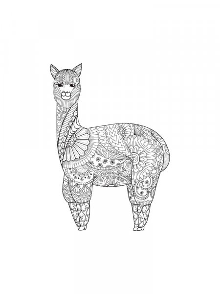 Alpaca coloring pages