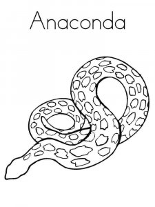 Anaconda coloring page - picture 1