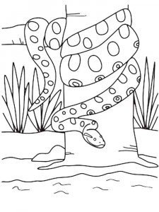 Anaconda coloring page - picture 3