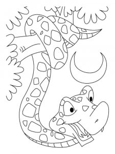 Anaconda coloring page - picture 4
