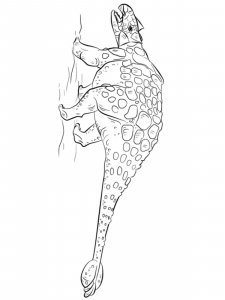 Ankylosaurus coloring page - picture 23