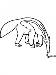 Anteater coloring page - picture 10