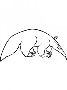Anteater coloring page - picture 13