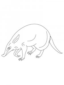 Anteater coloring page - picture 14
