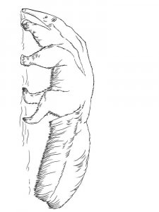 Anteater coloring page - picture 15