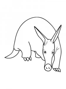 Anteater coloring page - picture 17