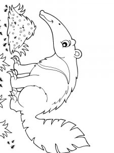 Anteater coloring page - picture 19