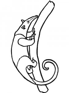 Anteater coloring page - picture 21