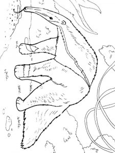 Anteater coloring page - picture 4