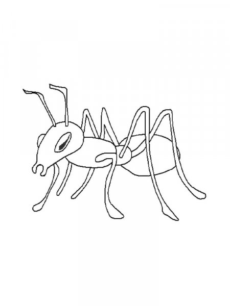 Ant coloring pages