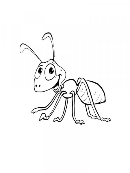 Ant coloring pages