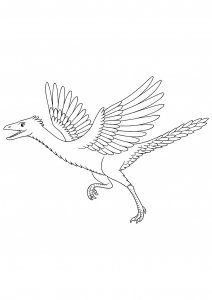 Archaeopteryx Taking Off Coloring Page