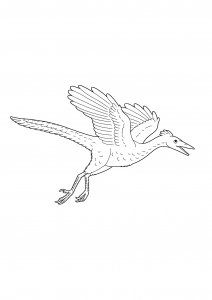 Archaeopteryx in Flight Coloring Page