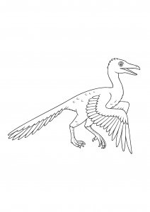 Archaeopteryx Dinosaur Coloring Page