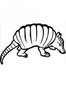 Armadillos coloring page - picture 1