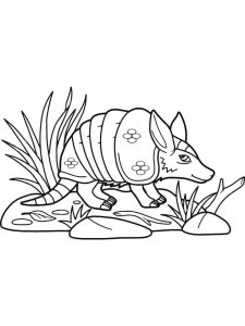 Armadillos coloring page - picture 10