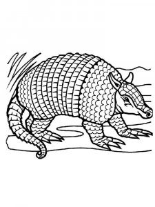 Armadillo coloring pages