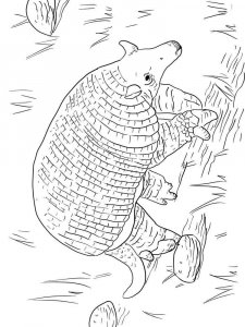 Armadillos coloring page - picture 13