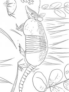 Armadillos coloring page - picture 14