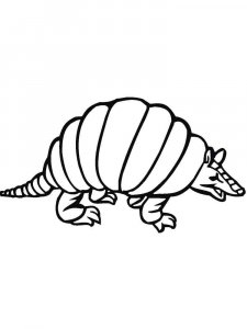 Armadillos coloring page - picture 5