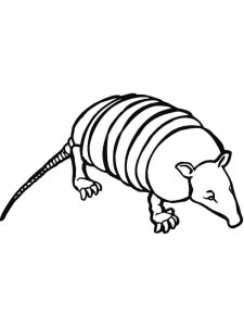 Armadillos coloring page - picture 7