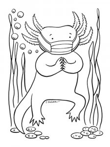 Axolotl coloring page - picture 15