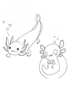 Axolotl coloring page - picture 17