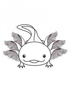 Axolotl coloring page - picture 19