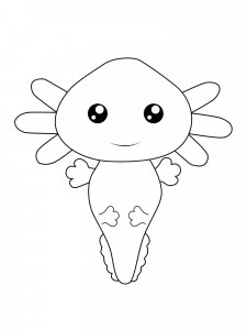 Axolotl coloring page - picture 20