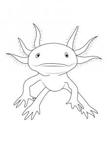 Axolotl coloring page - picture 3