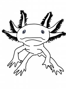 Axolotl coloring page - picture 4