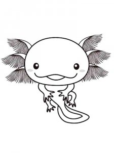 Axolotl coloring page - picture 5
