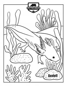 Axolotl coloring page - picture 9