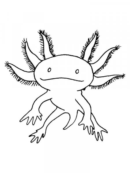 Axolotl coloring pages