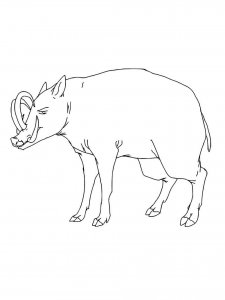 Babirusa coloring page - picture 6