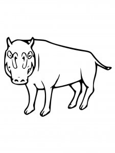 Babirusa coloring page - picture 7