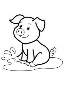 Baby Pig coloring page - picture 1