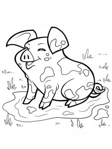 Baby Pig coloring page - picture 11