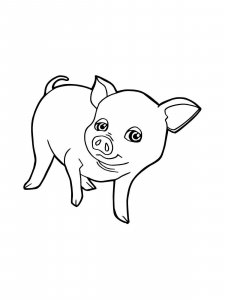 Baby Pig coloring page - picture 13