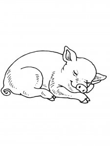 Baby Pig coloring page - picture 14