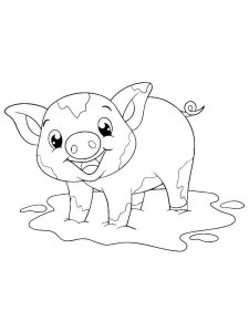 Baby Pig coloring page - picture 16