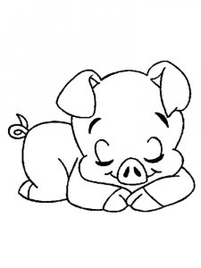 Baby Pig coloring page - picture 21