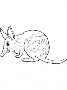 Bandicoot coloring page - picture 3