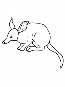 Bandicoot coloring page - picture 6